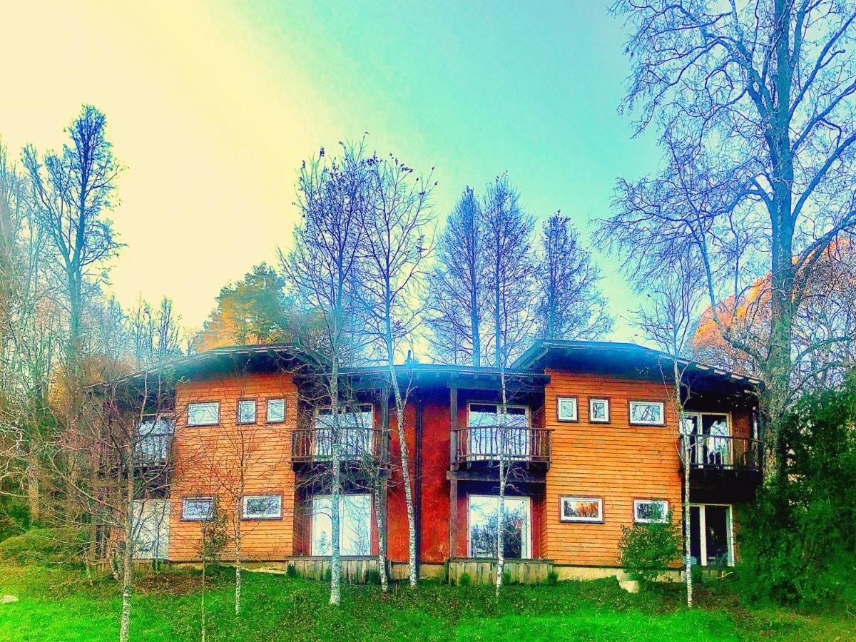 Elementos Eco Lodge Pucón Εξωτερικό φωτογραφία