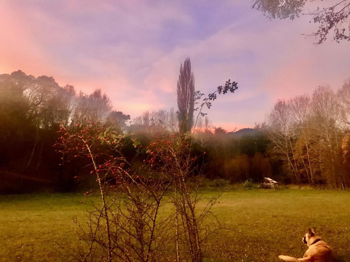 Elementos Eco Lodge Pucón Εξωτερικό φωτογραφία