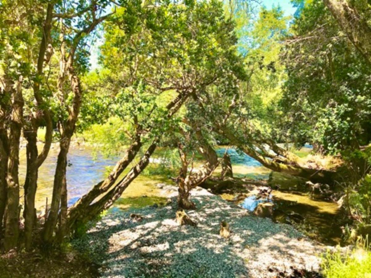 Elementos Eco Lodge Pucón Εξωτερικό φωτογραφία