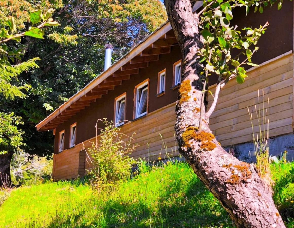 Elementos Eco Lodge Pucón Εξωτερικό φωτογραφία