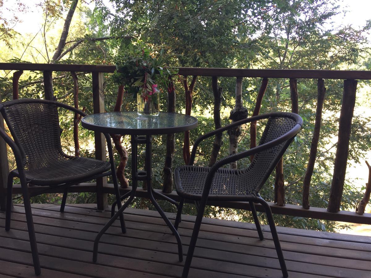 Elementos Eco Lodge Pucón Εξωτερικό φωτογραφία