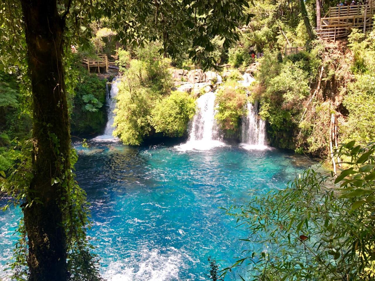 Elementos Eco Lodge Pucón Εξωτερικό φωτογραφία